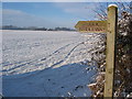 Bishop Burton Wold - North