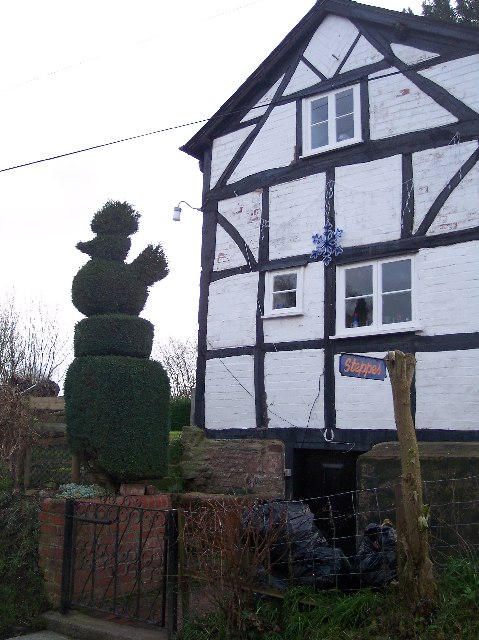 Topiary at Steppes, Little Tarrington