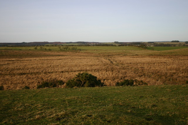 Marshy ground near Three Farms