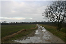 SE6122 : Farmland near Gowdall by Iain Macaulay
