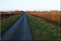 TA1052 : Lane into North Frodingham by Iain Macaulay
