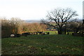 View from Great Beech trig