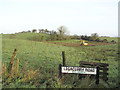 Legacurry Road, Killadroy