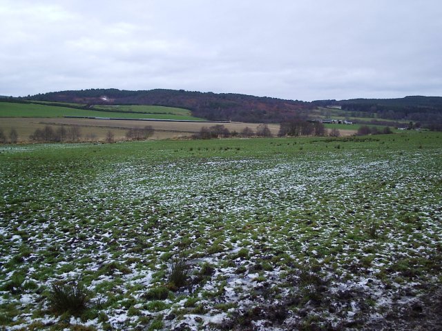 Farm Land on the Scotsburn to Tain Road