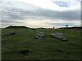 SK1663 : Arbor Low Stone Circle by Dave Napier
