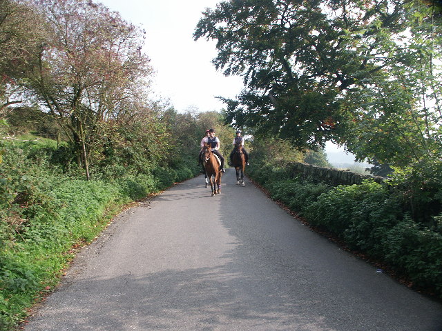 Out hacking