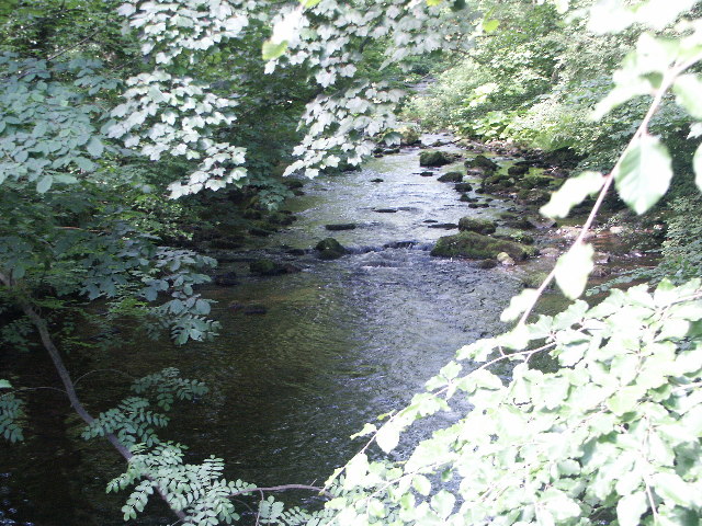 River near Healey