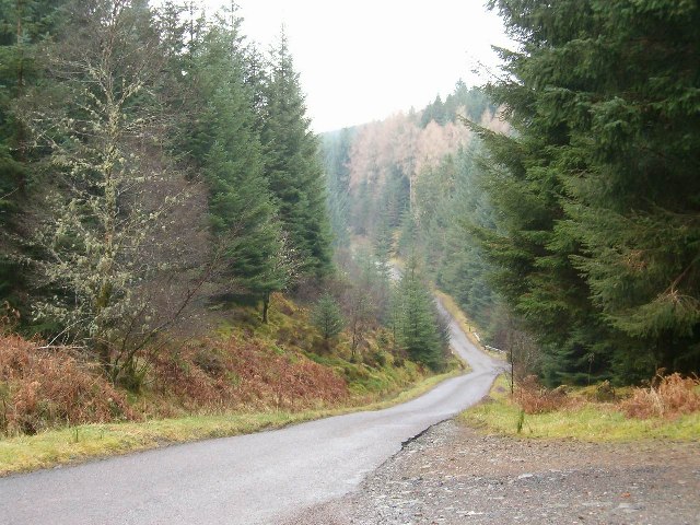 Road through Inverliever Forest
