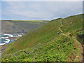 The Coast Path at  Brays Point Cornwall