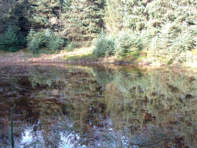 Lochan, Forest of Ae