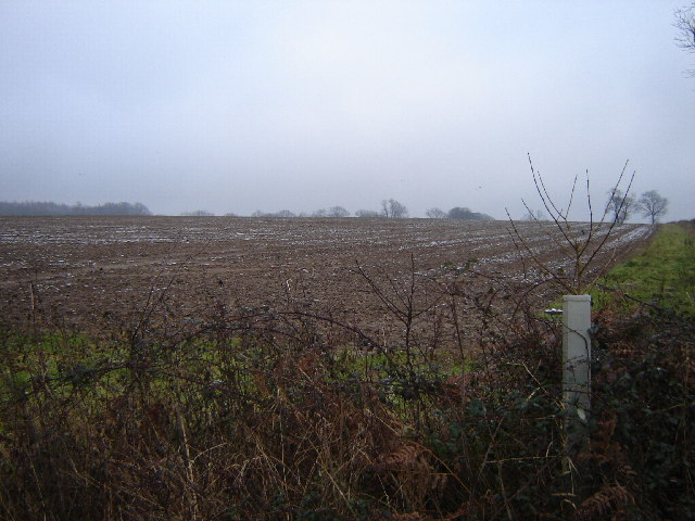 Farmland near Yarnhams Farm