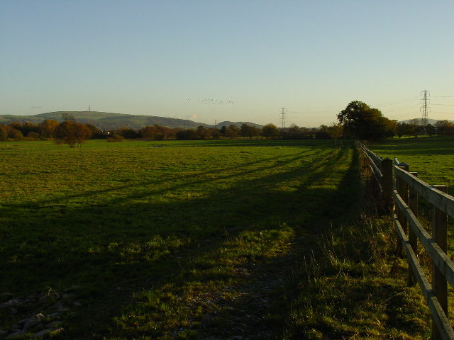 View south from Pennington's Lane near Macclesfield