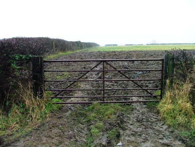 Public Footpath, South From Melton Road
