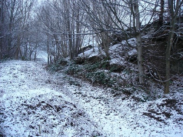 Lower path on Moel Eithinen