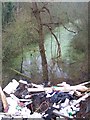 SO6442 : Flytipping into Canal by Bob Embleton