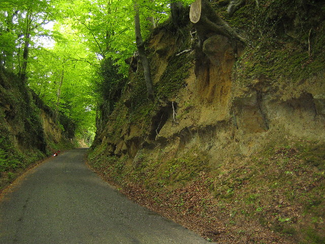 Hollow lane into Montacute
