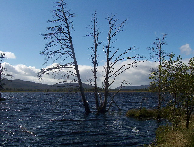 Loch Mallachie