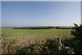 View towards woodland near Heath House