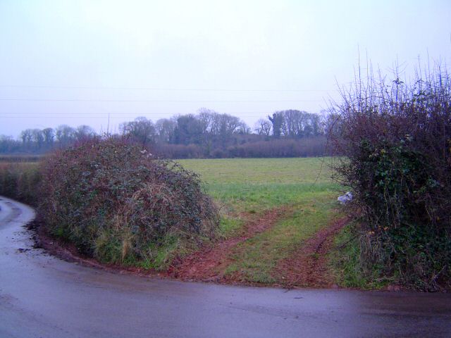Devon field
