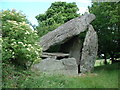 S5028 : Kilmogue Portal Dolmen by Ned Dwyer
