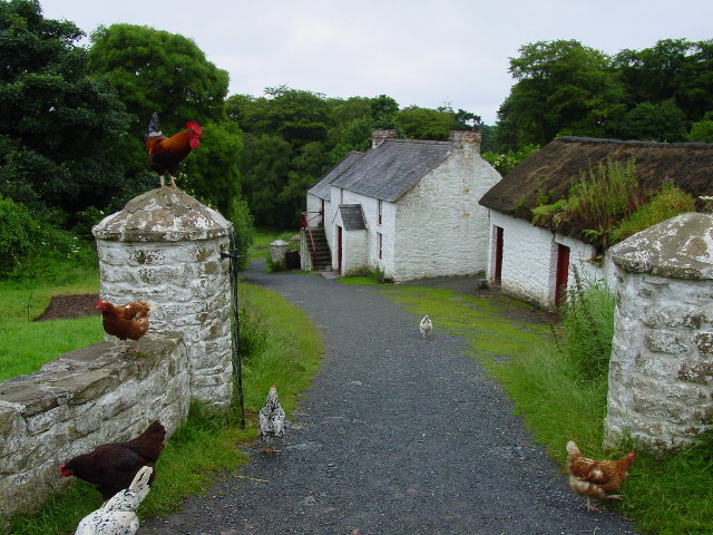 Ulster Folk Museum - Coshkib Farm