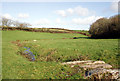 Penberth River near Penrose