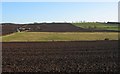 Whitehillfoot in a ploughed landscape