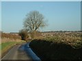 The Road to Clatford