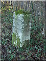 Milestone, Studley Green