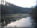 Bryn Celyn pond