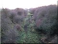 Richmond Branch Line Trackbed, North Cowton