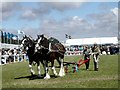 Royal Cornwall Show 2004