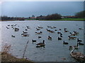 Hemlington Lake, East End