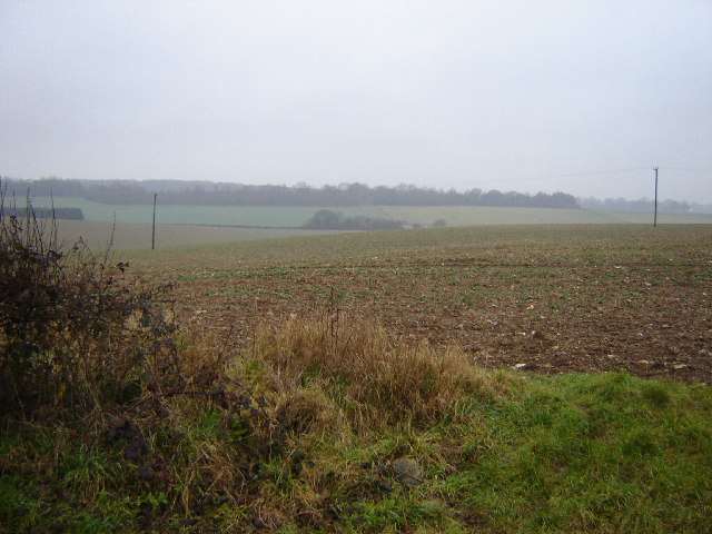 Open Fields near Bentworth