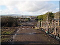 Wibble Farm Nurseries.