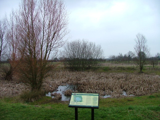 Norton  Pond
