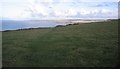 Clifftop field.