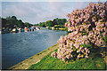 The Thames at Sunbury