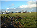 Farmland  near Efailnewydd