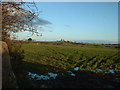 Farmland near Llanerch