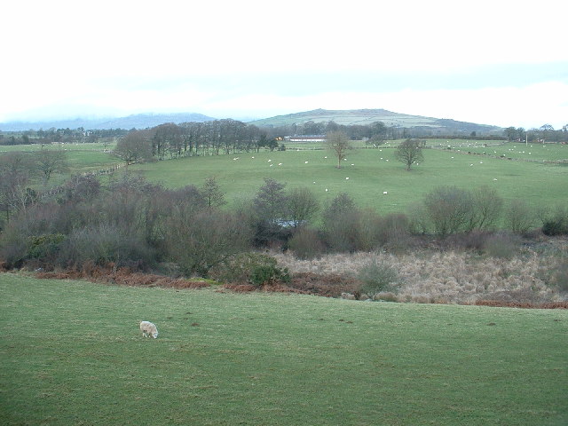 Farmland near Y Ffor