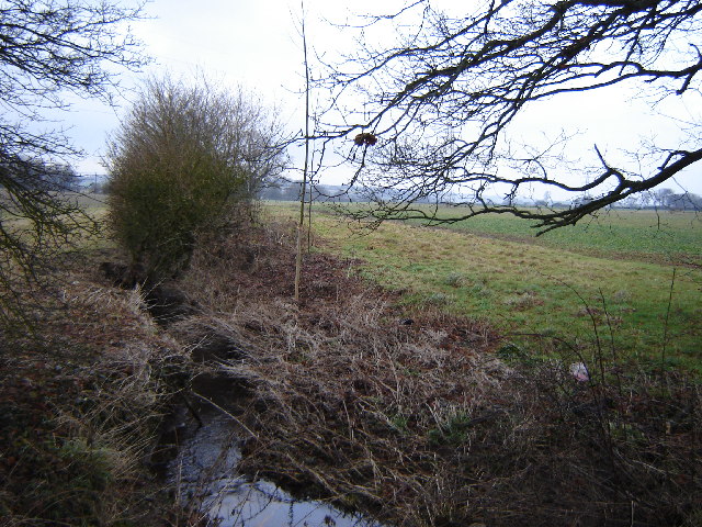 Stream near Farringdon