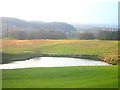 Fanny Pool, Birchenwood Country Park