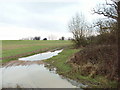 Field of Warren Farm, Chalfont St Peter