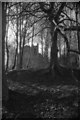 Cadder Kirk from the Forth and Clyde Canal