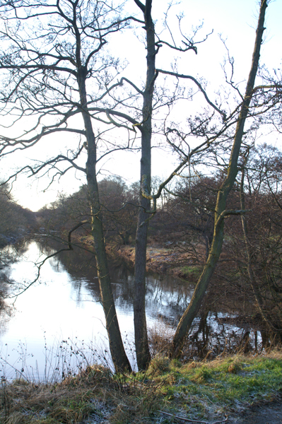 River Almond near Craigshill, Livingston
