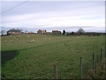 NT2094 : Brigghills Farm by Paul McIlroy
