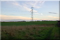 Electricity Pylon on farmland