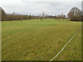 Earlswood golf course from Public right of way