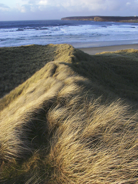 Sand dunes, Dunnet Bay, Caithness